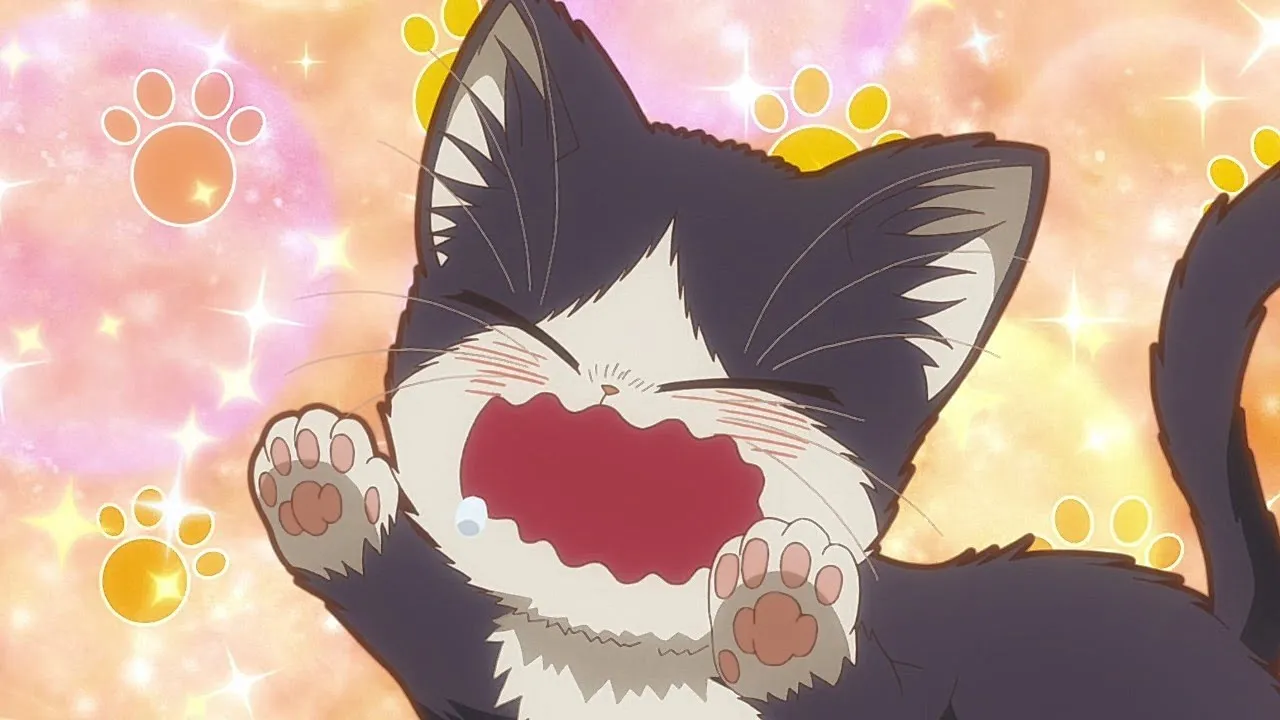 [Review] My Roommate Is a Cat [Sebuah anime bergenre slice of life yang santai]