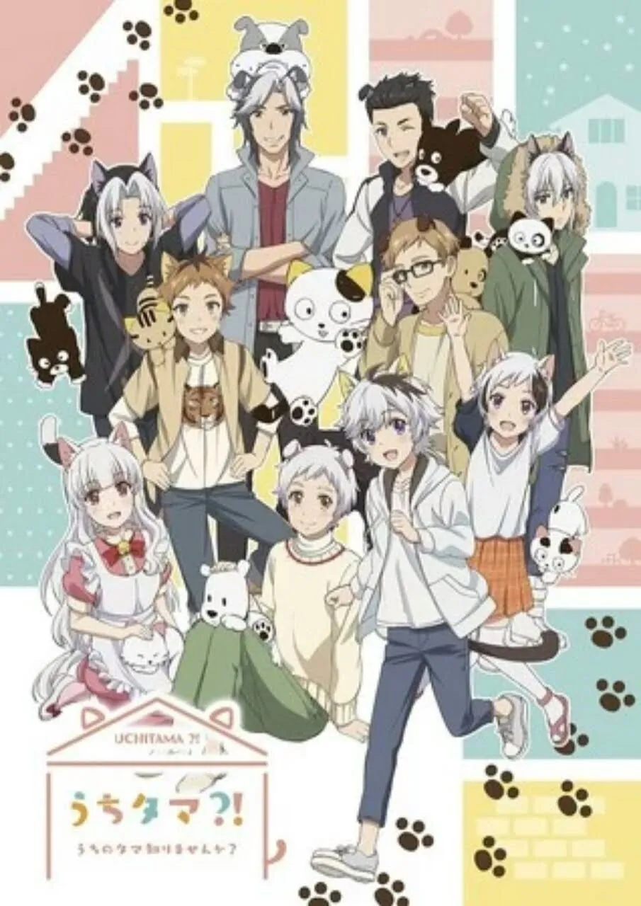 Informasi Blu-ray Anime Uchitama?! Have you seen my Tama? Ungkap Jumlah Episodenya