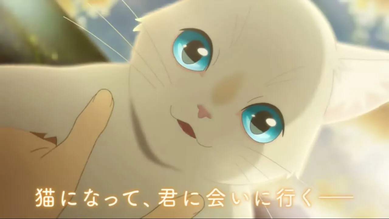 Film Anime Orisinal Nakitai Watashi wa Neko o Kaburu Dari Studio Colorido Akan Dibuka Pada Tanggal 5 Juni