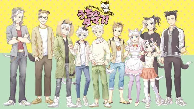Informasi Blu-ray Anime Uchitama?! Have you seen my Tama? Ungkap Jumlah Episodenya