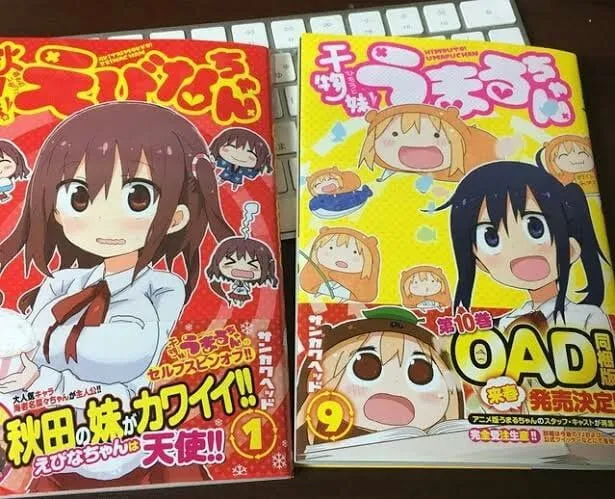 Pengertian OVA, OAV, OAD