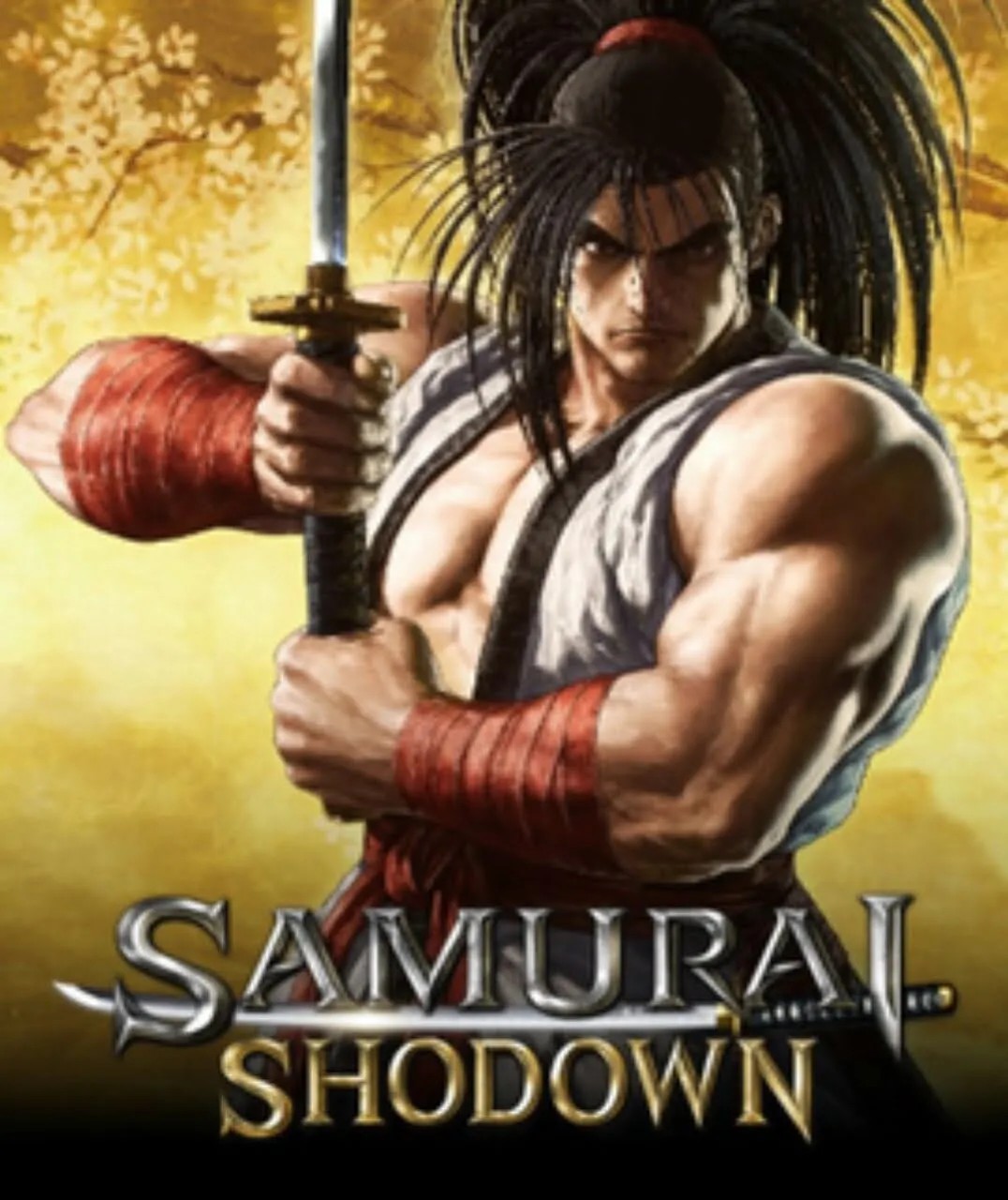 Game Samurai Shodown Akan Diluncurkan untuk PC Pada Musim Semi