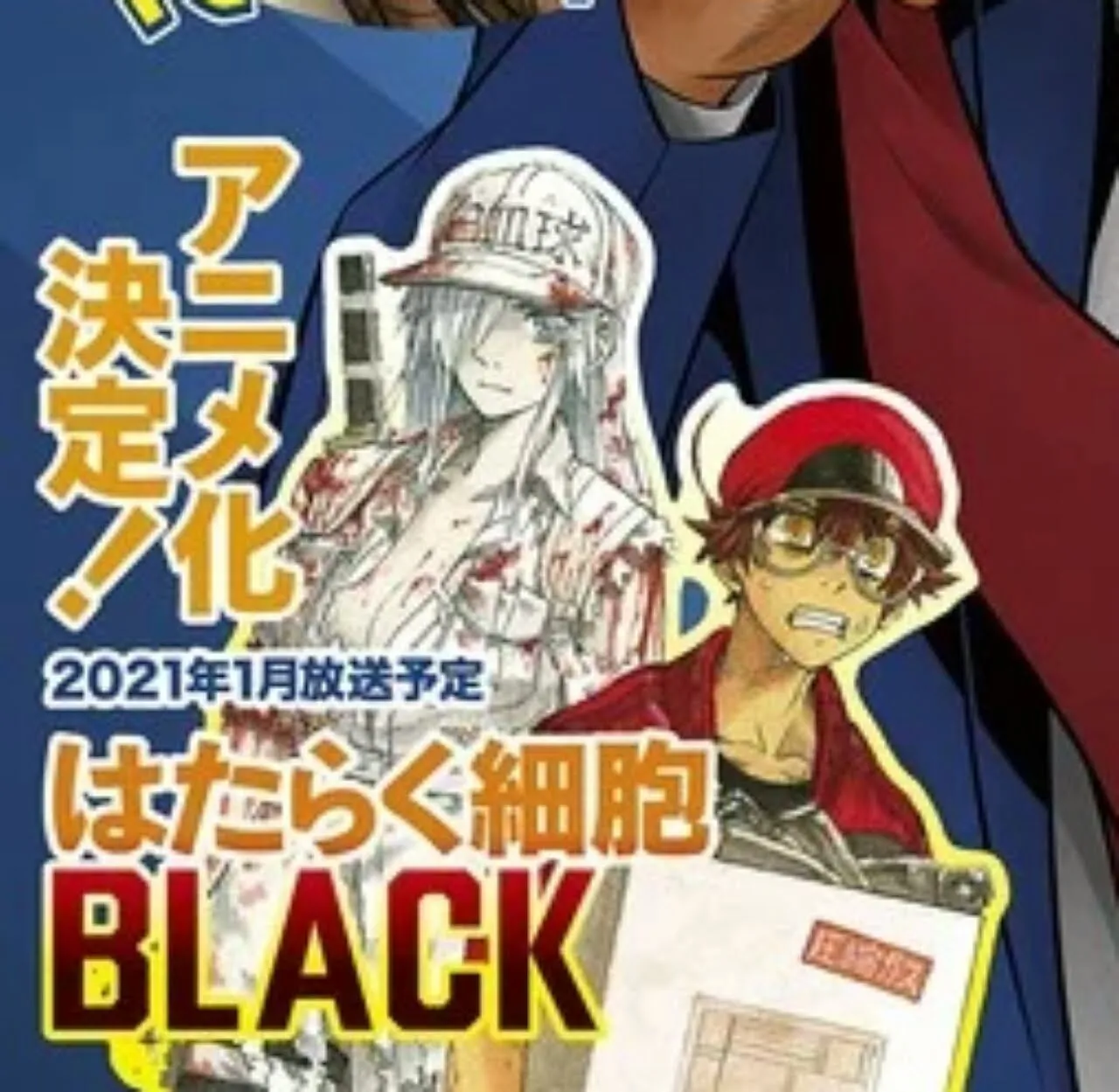 Anime Cells at Work! Code Black Ungkap Seiyuu dan Staf