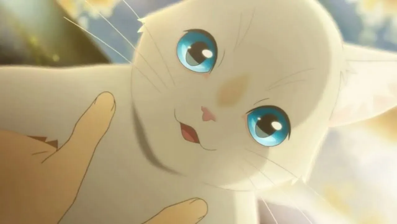 Film Anime Nakitai Watashi wa Neko o Kaburu Garapan Colorido Akan Ditayangkan Secara Global di Netflix Pada Tanggal 18 Juni