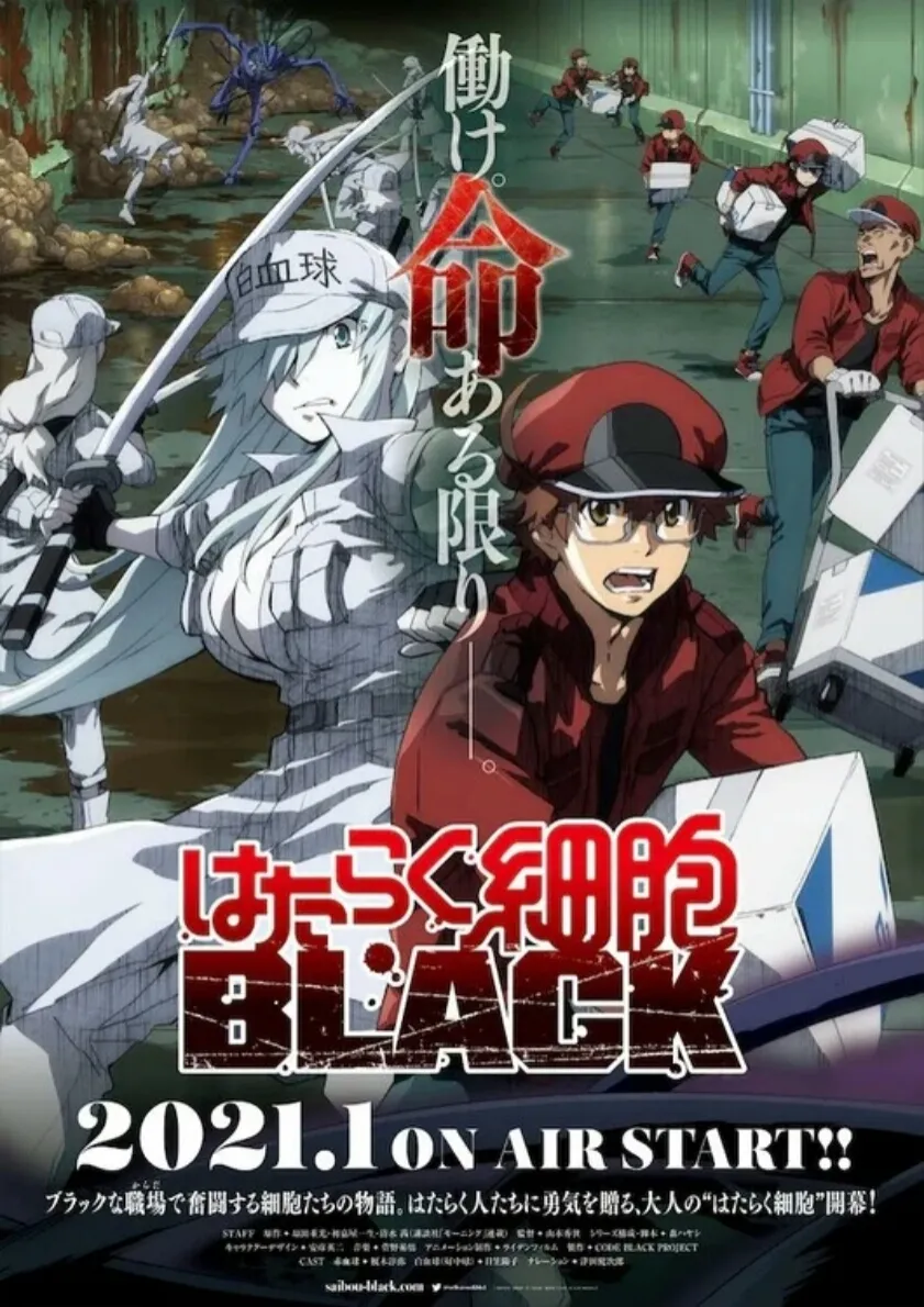 Video Promosi Lengkap Pertama untuk Anime TV Cells at Work! Code Black Ungkap Seiyuu dan Staf Lainnya