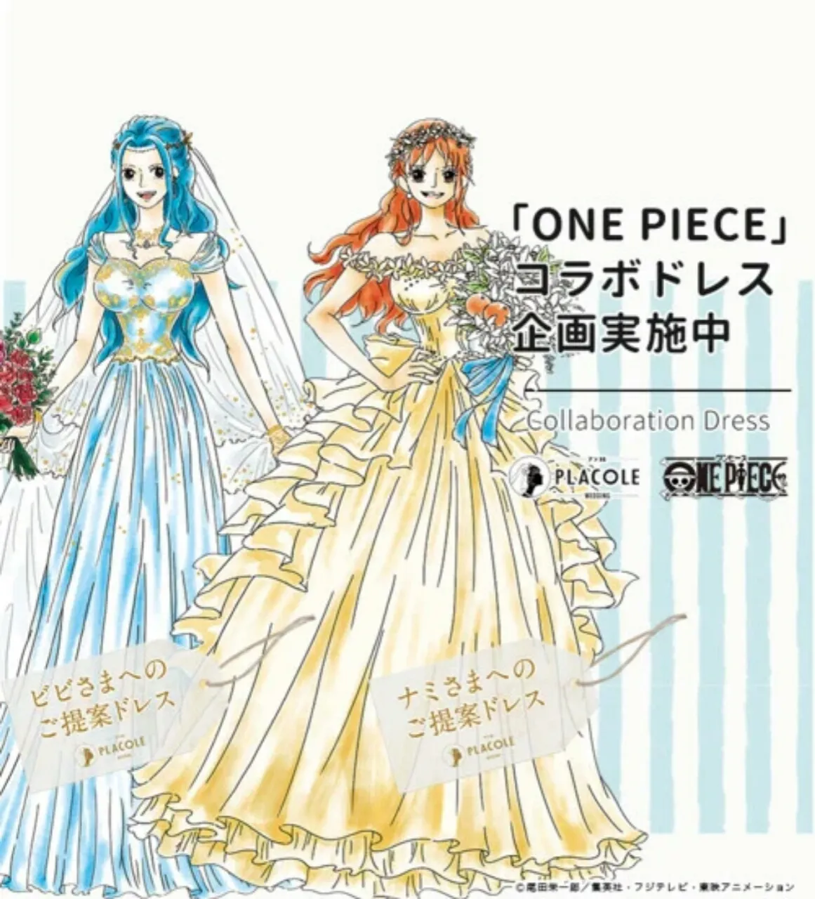 Nami dan Vivi Mengenakan Gaun Pengantin Dalam Kolaborasi Placole Wedding dengan One Piece