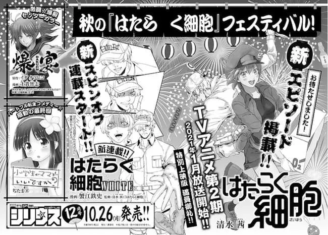Manga Cells at Work! Akhirnya Menerbitkan Chapter Baru Setelah 2 Tahun Berlalu
