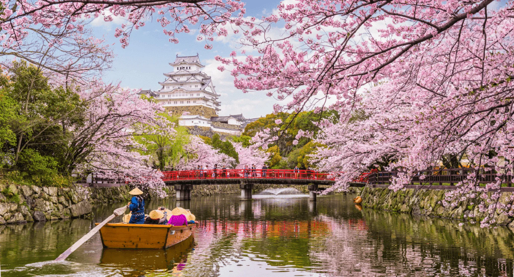 Mengenal Bunga Sakura, Tumbuhan Paling Ikonik saat Musim Semi di Jepang