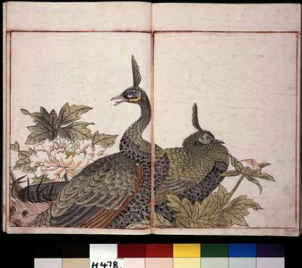 Toriyama Sekien, Artis Ukiyo-e yang Dikenal Akan Gambarnya Tentang Yōkai