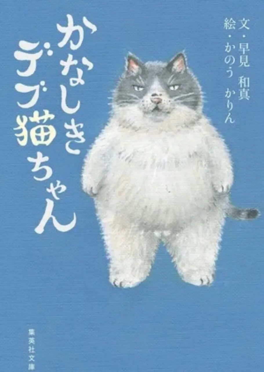 'Cerita Lokal' Kanashiki Debu Neko-chan dari Ehime Mendapatkan Anime TV NHK untuk bulan Desember