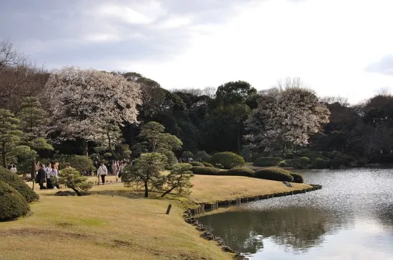 Taman Indah Rikuguen dan Furukawa yang Dilapisi Sejarah di Tokyo