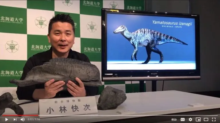 Penemuan Fosil Dinosaurus Spesies Baru di Pulau Awaji Jepang