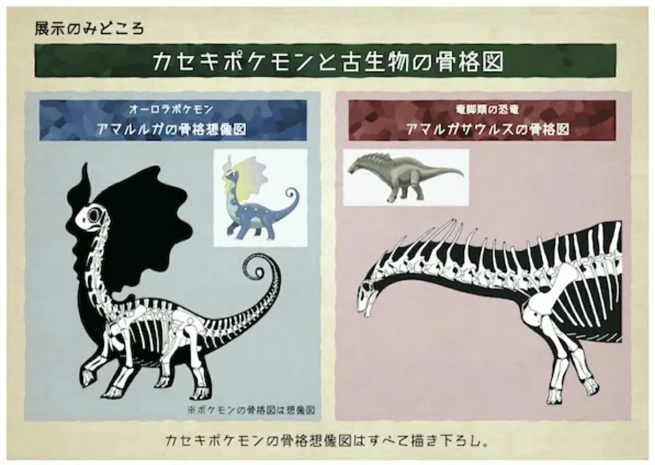 Museum Jepang Mengadakan Pameran Fosil Pokémon