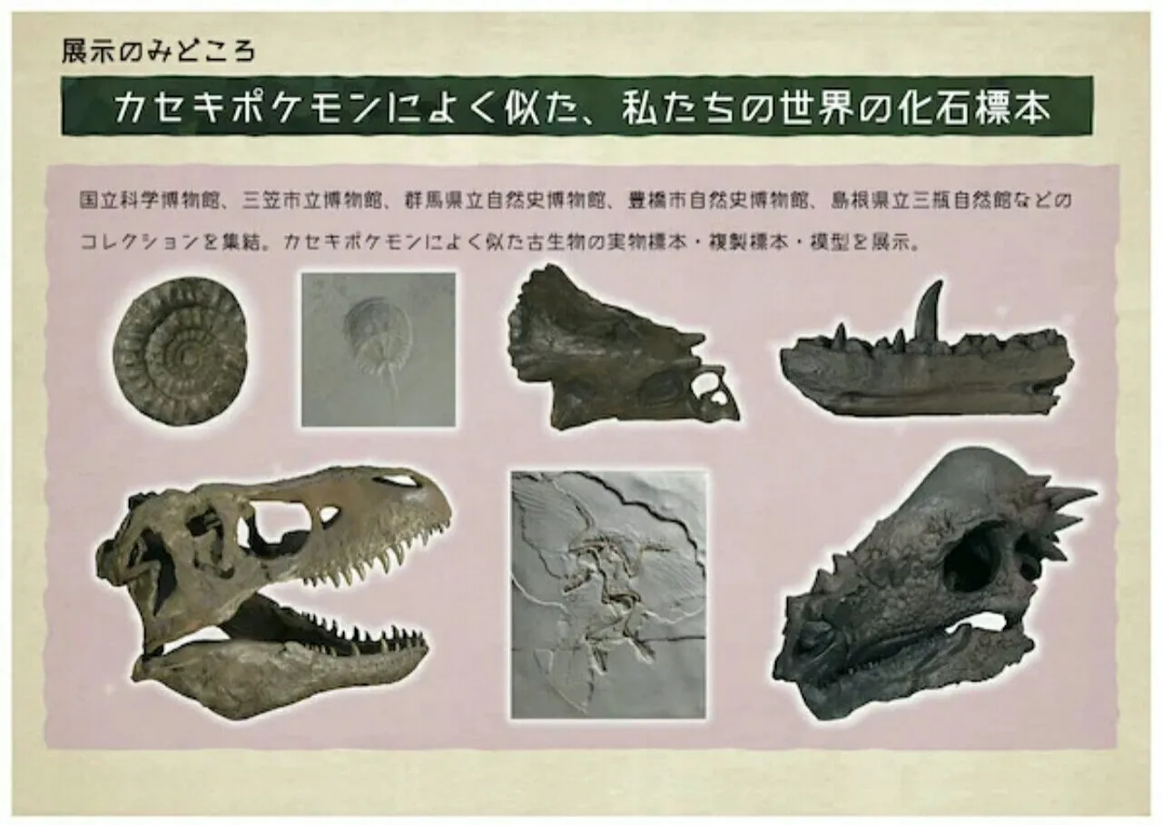 Museum Jepang Mengadakan Pameran Fosil Pokémon