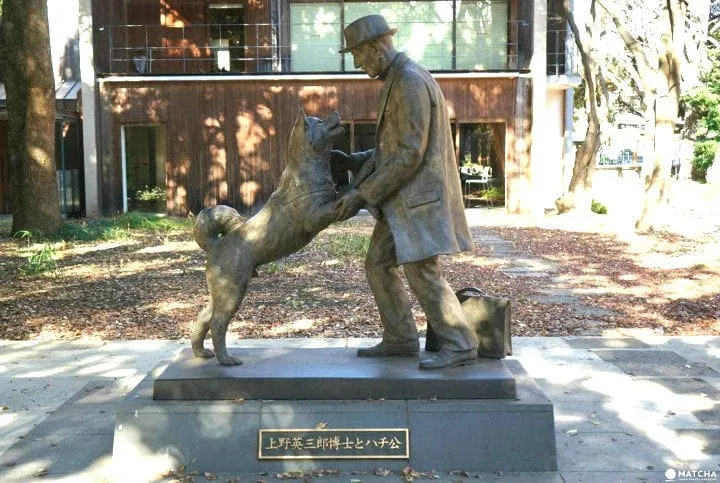Kisah Hachiko, anjing setia yang menunggu majikannya pulang.