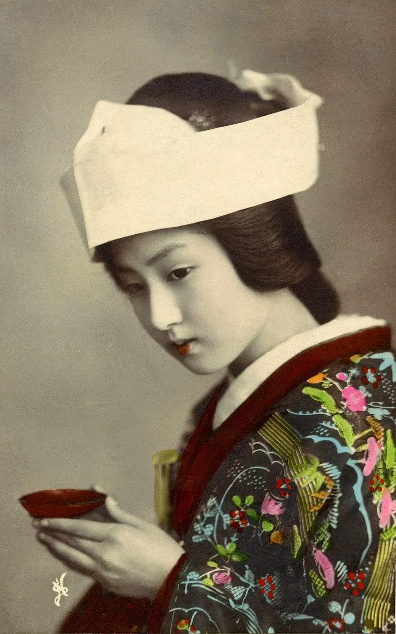 Antara Geisha dan Oiran