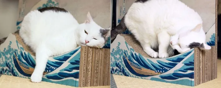 Produk Balok Kayu Paling Ikonik di Jepang Untuk Kucing
