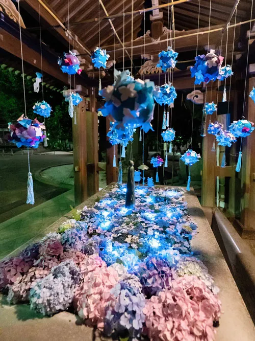 Tangkapan Foto Night Hydrangea yang Diambil Yukari Mitani