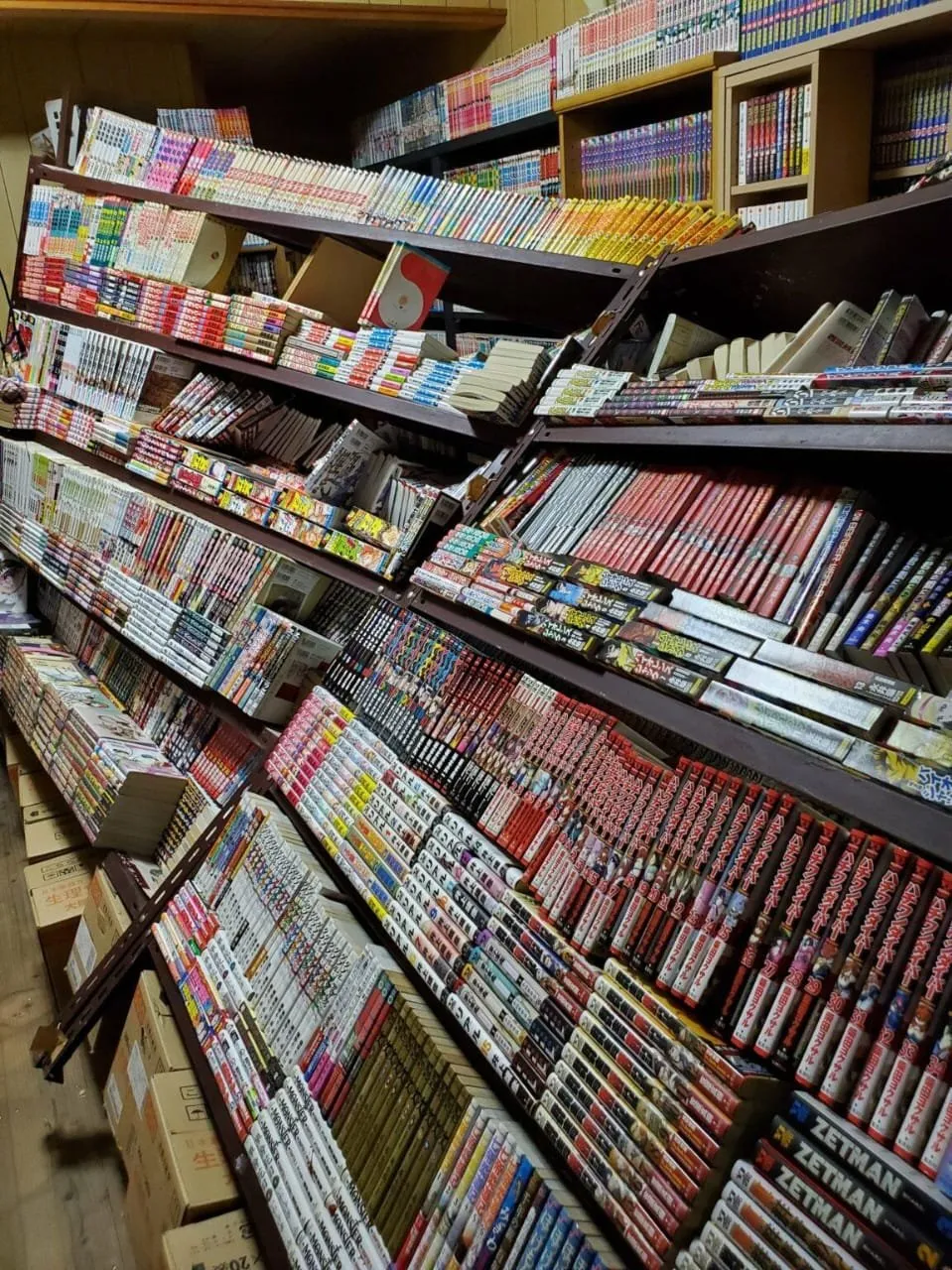 Koleksi Manga Hampir Menghancurkan Sebuah Rumah di Jepang