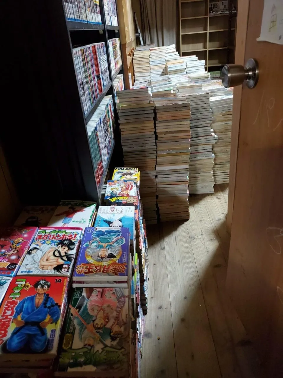 Koleksi Manga Hampir Menghancurkan Sebuah Rumah di Jepang