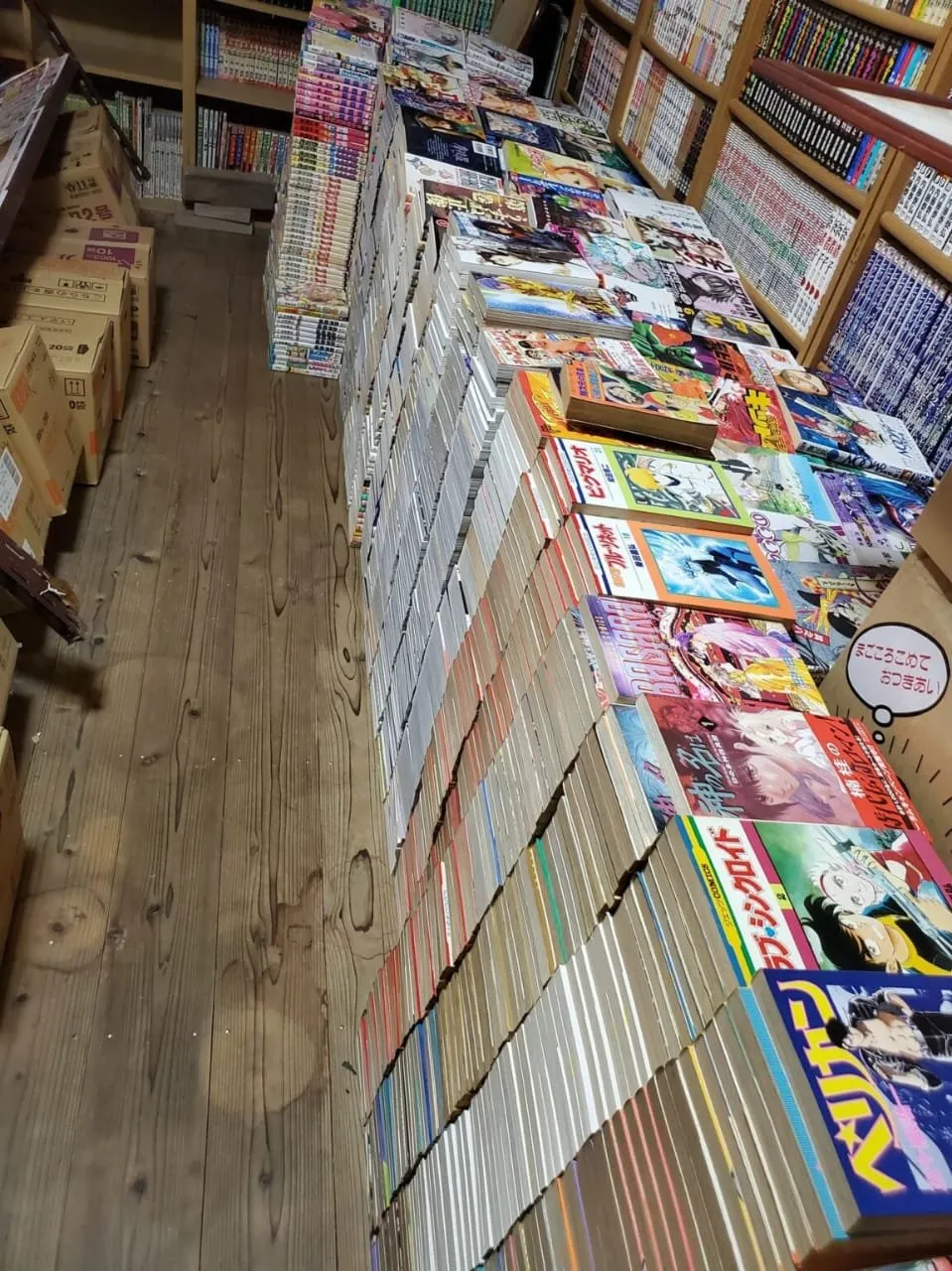 Koleksi Manga Hampir Menghancurkan Sebuah Rumah di Jepang
