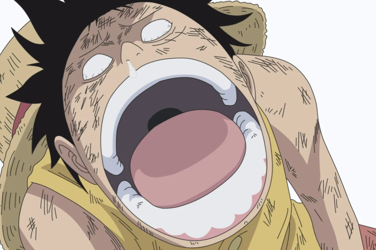 Seorang Pria Gagal Mendapatkan 30 Ribu Dolar karena One Piece