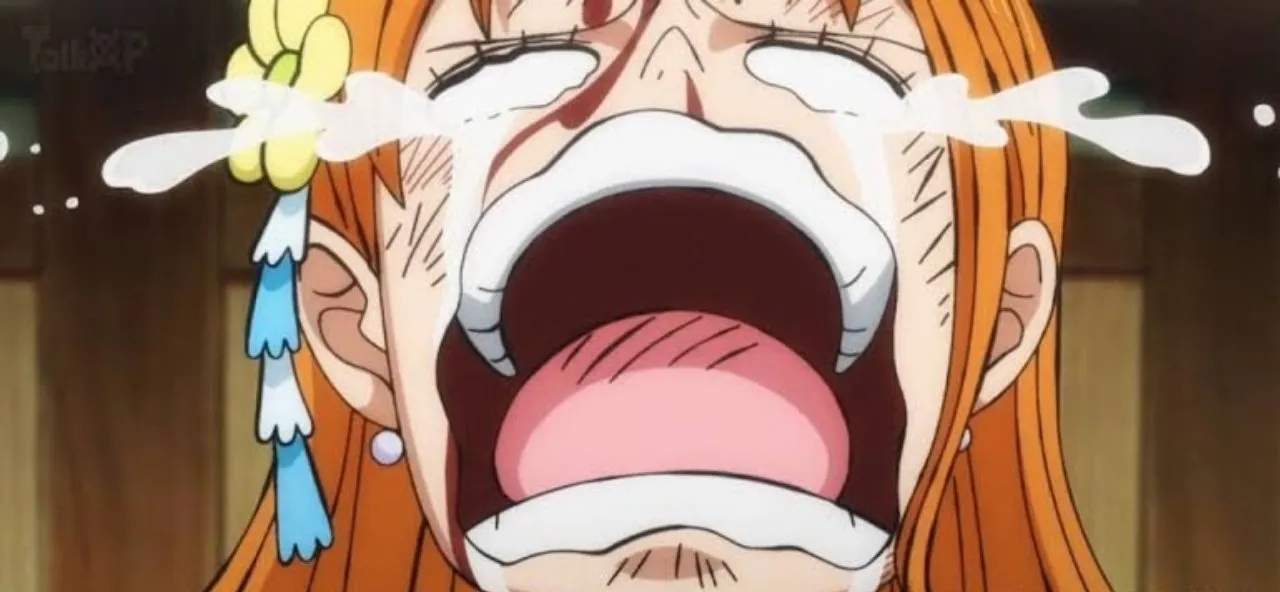 Seorang Pria Gagal Mendapatkan 30 Ribu Dolar karena One Piece