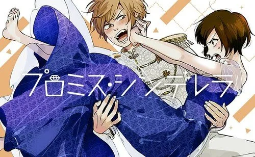 Oreco Tachibana Akan Meluncurkan Manga Baru Berjudul Hotaru no Yomeiri