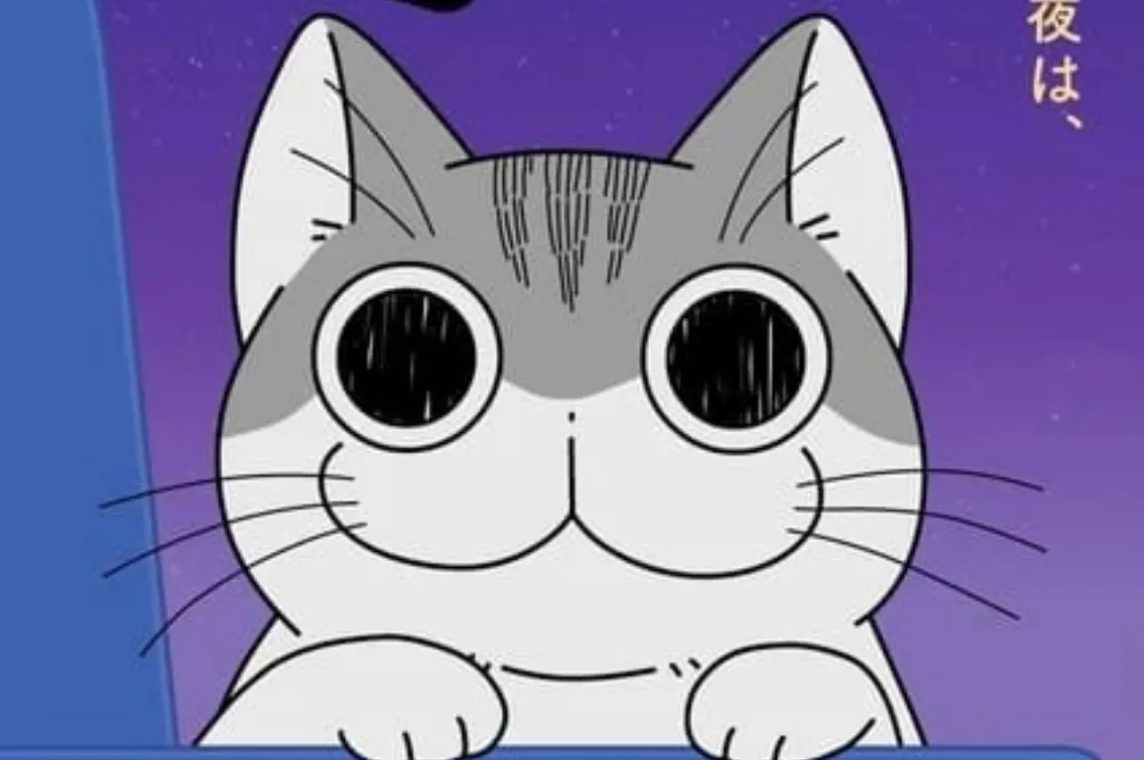 Yoru wa Neko to Issho Season 2 Akan Mulai Tayang pada 8 Maret 2023