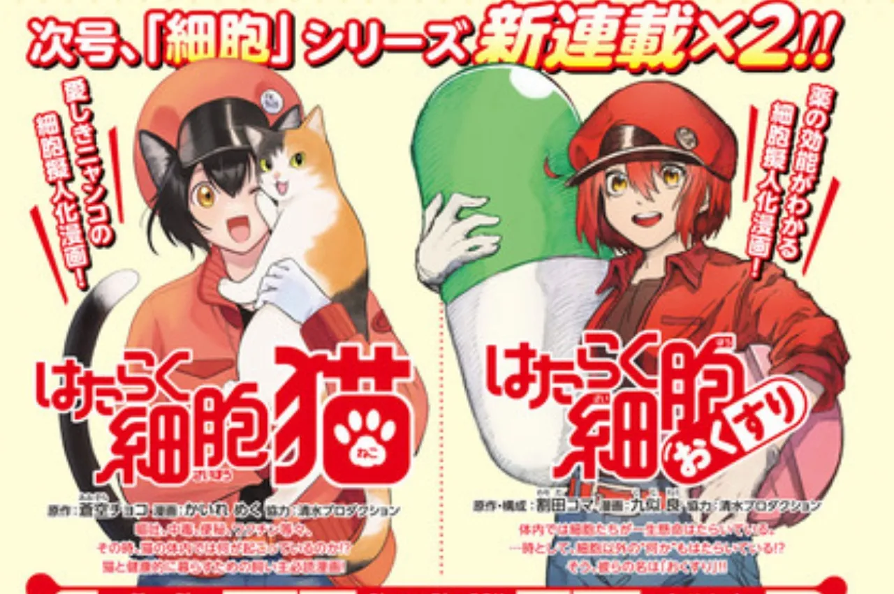 Hataraku Saibō Mendapatkan 2 Manga Spinoff tentang Kucing dan Obat
