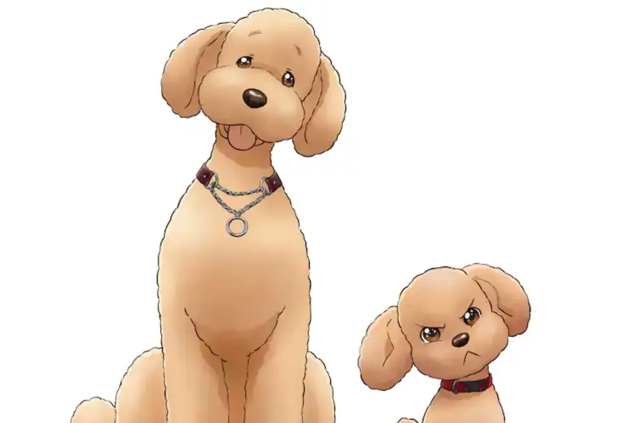 Anime TV Dog Signal Akan Mulai Tayang pada Oktober 2023